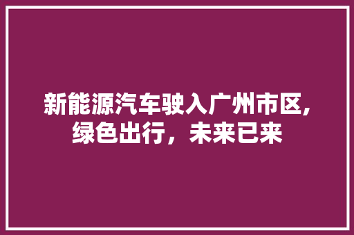 新能源汽车驶入广州市区,绿色出行，未来已来