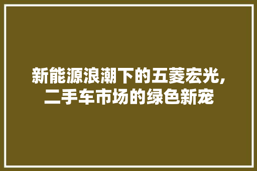 新能源浪潮下的五菱宏光,二手车市场的绿色新宠