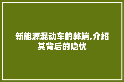 新能源混动车的弊端,介绍其背后的隐忧