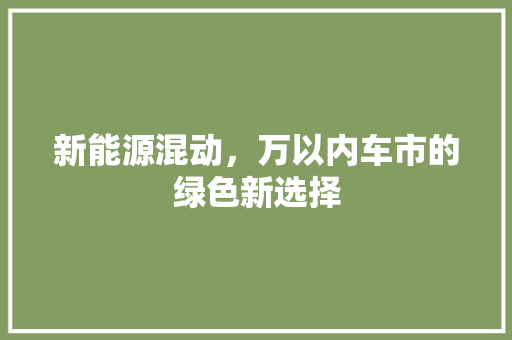 新能源混动，万以内车市的绿色新选择