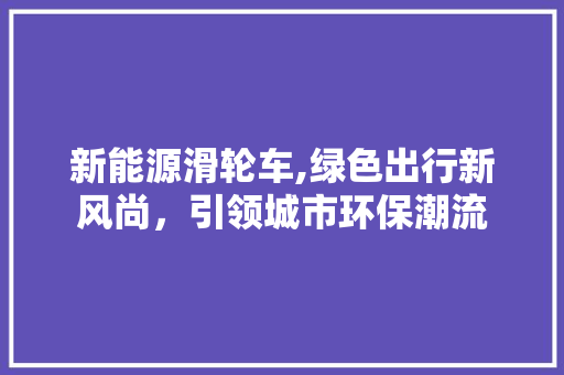 新能源滑轮车,绿色出行新风尚，引领城市环保潮流 发动机配件