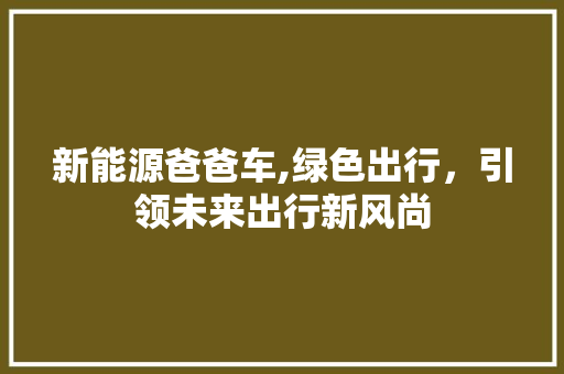 新能源爸爸车,绿色出行，引领未来出行新风尚