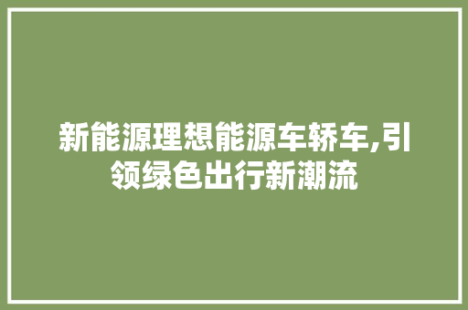 新能源理想能源车轿车,引领绿色出行新潮流