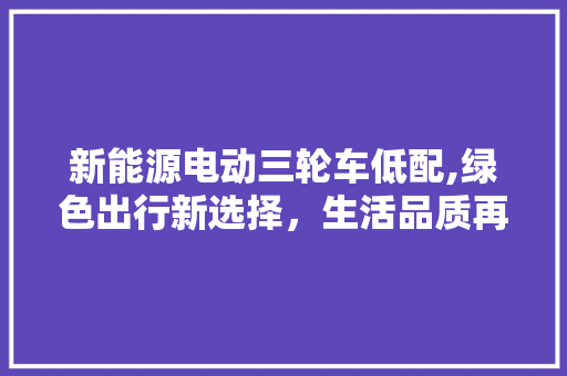 新能源电动三轮车低配,绿色出行新选择，生活品质再升级