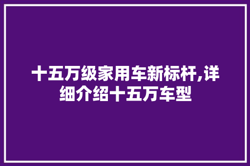 十五万级家用车新标杆,详细介绍十五万车型