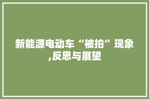 新能源电动车“被拍”现象,反思与展望