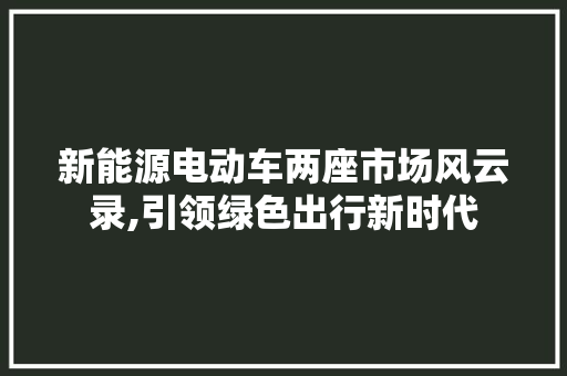 新能源电动车两座市场风云录,引领绿色出行新时代