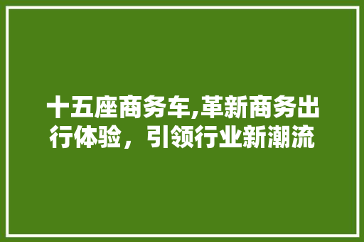 十五座商务车,革新商务出行体验，引领行业新潮流