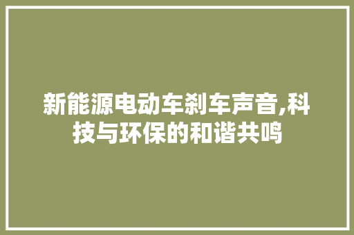 新能源电动车刹车声音,科技与环保的和谐共鸣