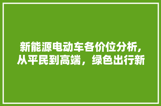 新能源电动车各价位分析,从平民到高端，绿色出行新选择