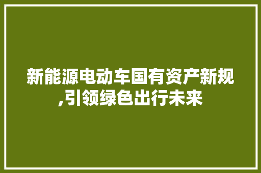 新能源电动车国有资产新规,引领绿色出行未来
