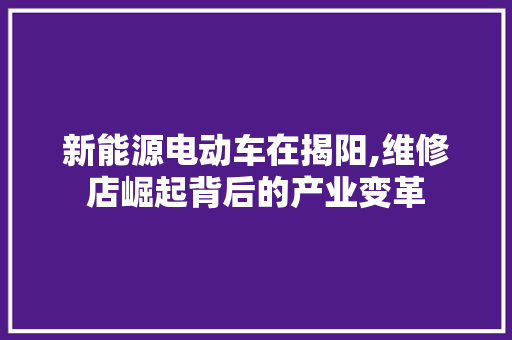 新能源电动车在揭阳,维修店崛起背后的产业变革