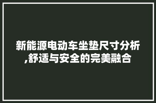 新能源电动车坐垫尺寸分析,舒适与安全的完美融合