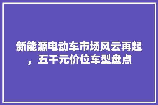 新能源电动车市场风云再起，五千元价位车型盘点