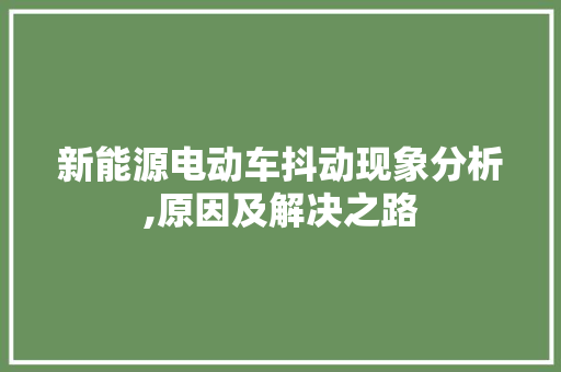 新能源电动车抖动现象分析,原因及解决之路