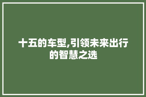 十五的车型,引领未来出行的智慧之选