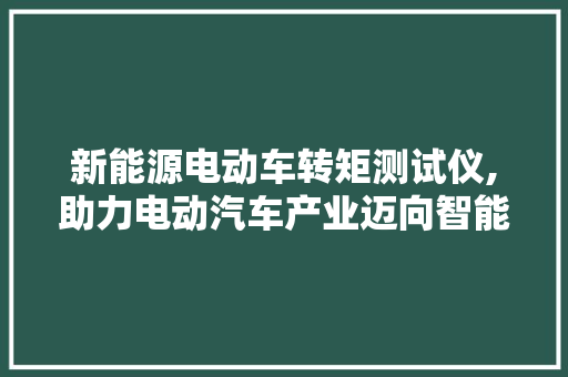 新能源电动车转矩测试仪,助力电动汽车产业迈向智能化未来