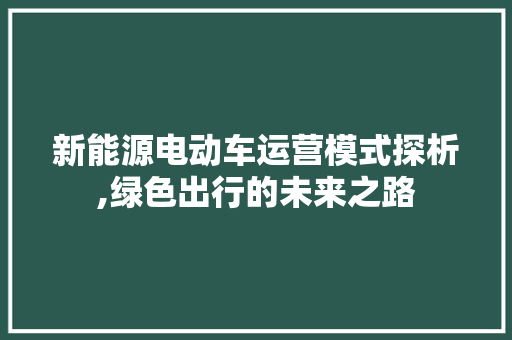 新能源电动车运营模式探析,绿色出行的未来之路