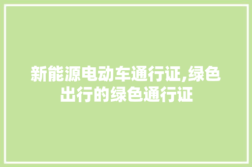 新能源电动车通行证,绿色出行的绿色通行证