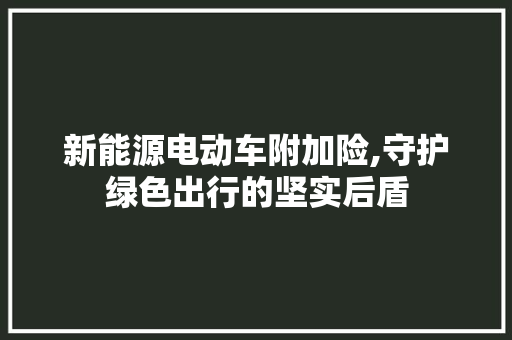 新能源电动车附加险,守护绿色出行的坚实后盾
