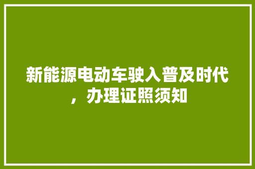 新能源电动车驶入普及时代，办理证照须知