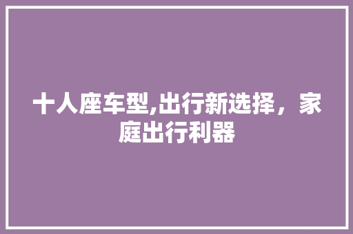 十人座车型,出行新选择，家庭出行利器