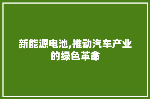 新能源电池,推动汽车产业的绿色革命