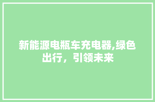 新能源电瓶车充电器,绿色出行，引领未来