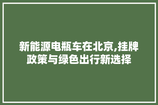 新能源电瓶车在北京,挂牌政策与绿色出行新选择