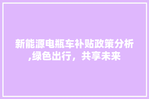 新能源电瓶车补贴政策分析,绿色出行，共享未来