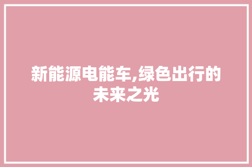 新能源电能车,绿色出行的未来之光