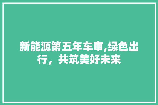 新能源第五年车审,绿色出行，共筑美好未来