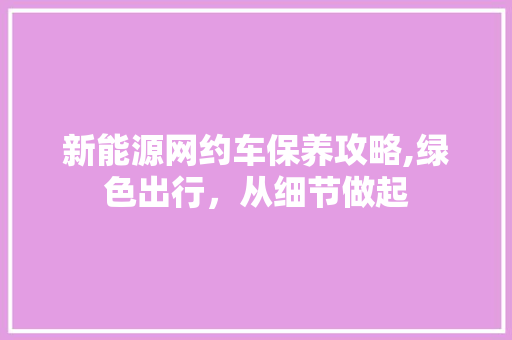 新能源网约车保养攻略,绿色出行，从细节做起