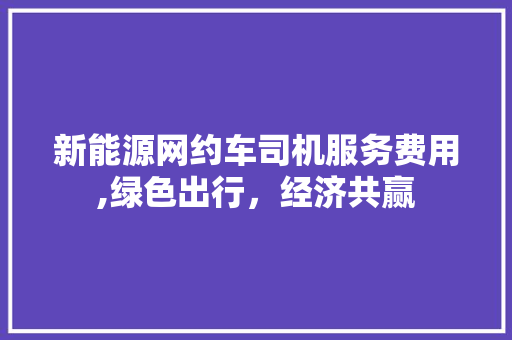 新能源网约车司机服务费用,绿色出行，经济共赢