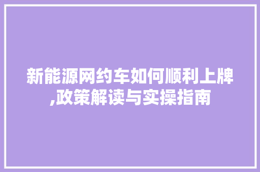 新能源网约车如何顺利上牌,政策解读与实操指南