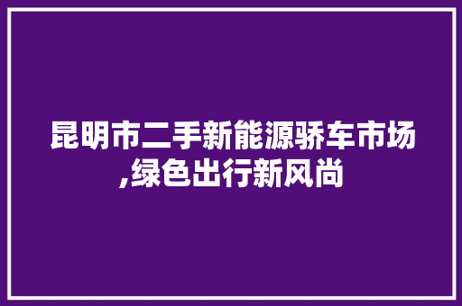 昆明市二手新能源骄车市场,绿色出行新风尚