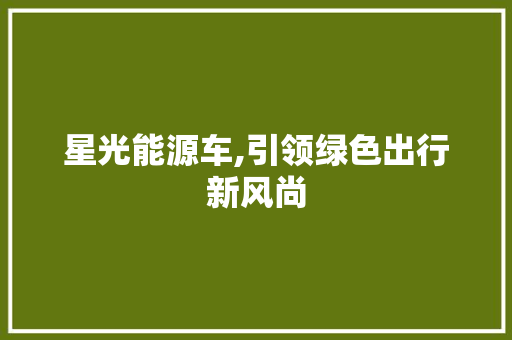 星光能源车,引领绿色出行新风尚