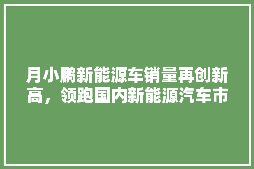 月小鹏新能源车销量再创新高，领跑国内新能源汽车市场