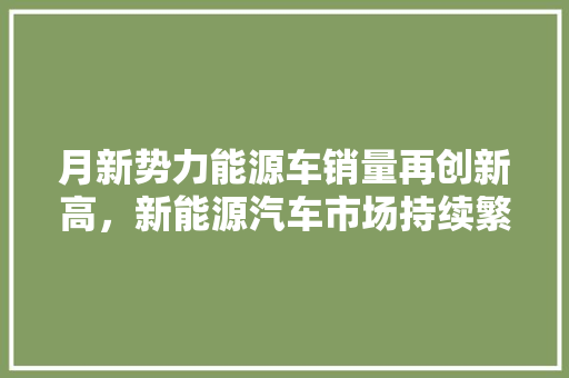 月新势力能源车销量再创新高，新能源汽车市场持续繁荣