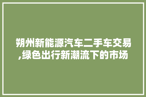 朔州新能源汽车二手车交易,绿色出行新潮流下的市场机遇