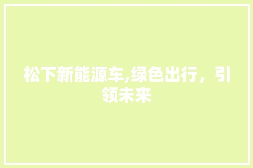 松下新能源车,绿色出行，引领未来