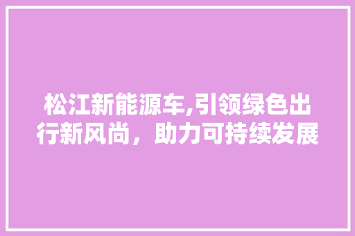 松江新能源车,引领绿色出行新风尚，助力可持续发展