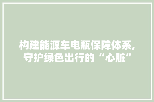 构建能源车电瓶保障体系,守护绿色出行的“心脏”
