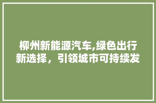 柳州新能源汽车,绿色出行新选择，引领城市可持续发展