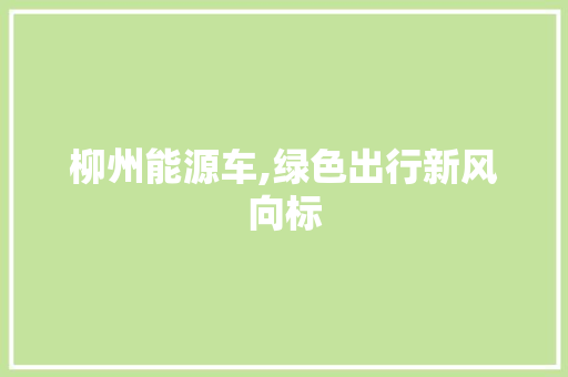 柳州能源车,绿色出行新风向标