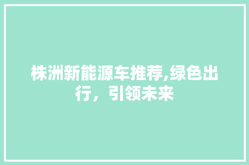 株洲新能源车推荐,绿色出行，引领未来