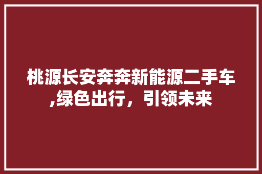 桃源长安奔奔新能源二手车,绿色出行，引领未来
