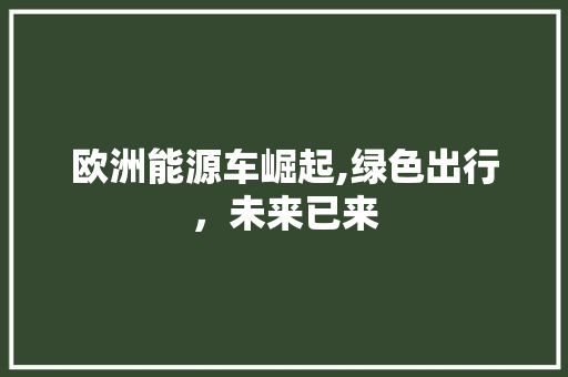 欧洲能源车崛起,绿色出行，未来已来