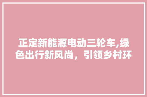 正定新能源电动三轮车,绿色出行新风尚，引领乡村环保潮流