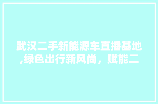 武汉二手新能源车直播基地,绿色出行新风尚，赋能二手车市场